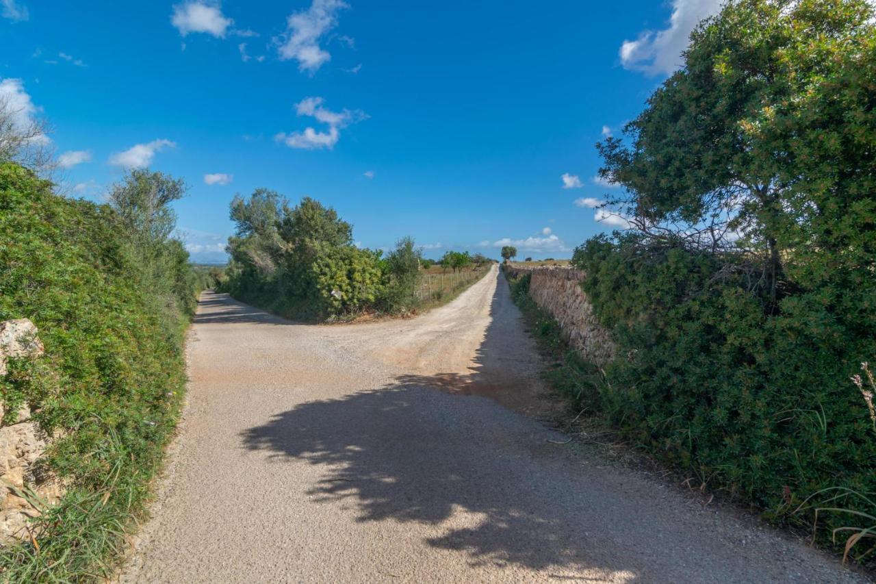 Son Gener -manacor- * Ariany