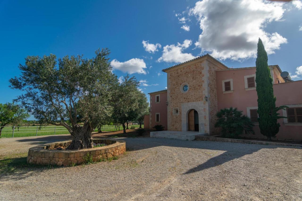 Villa Son Gener -manacor- *